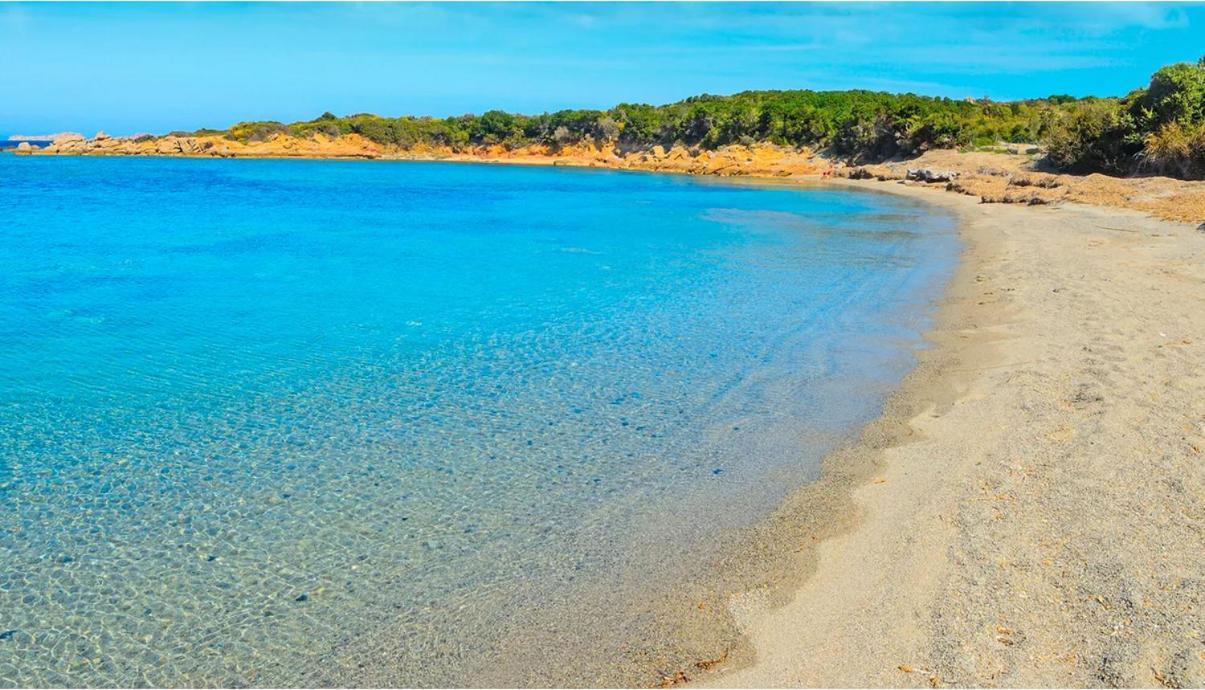 Maisonnette Climatisee A 35M De La Plage De La Capte Hyeres Vila Exterior foto